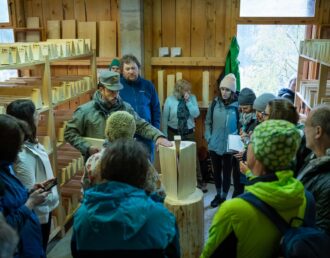 Esperienze guidate alla scoperta del legno, tra materia, saperi e tradizione