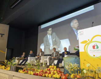 Prognosfruit 14th edition. Taio (TN), agosto 2023 - progettazione scenografica palco meeting