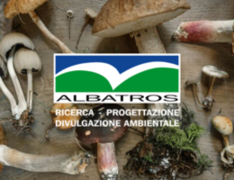 Copia di base_post (1)