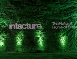 Inaugurazione anteprima Intacture: il nuovo data centre “green”