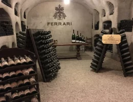 img_0184-e1494493152994