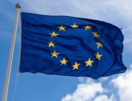 European Union Flag