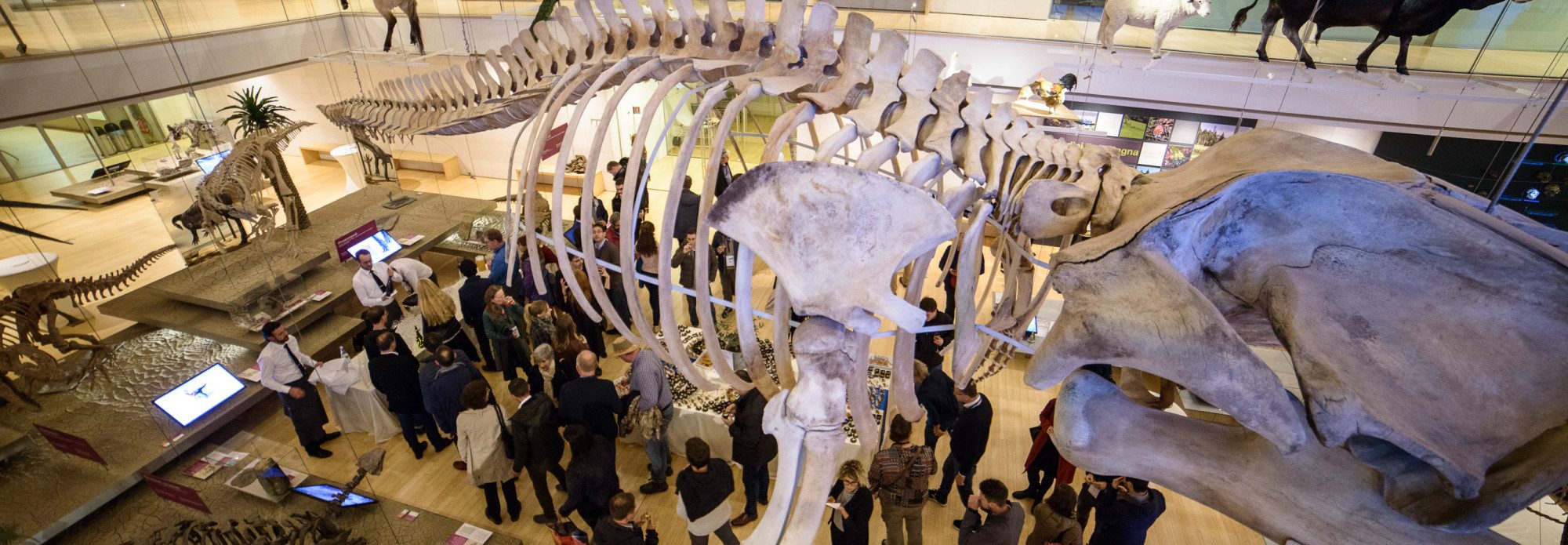 LGA_20181113_Orikata_Blueberry-MUSE_078