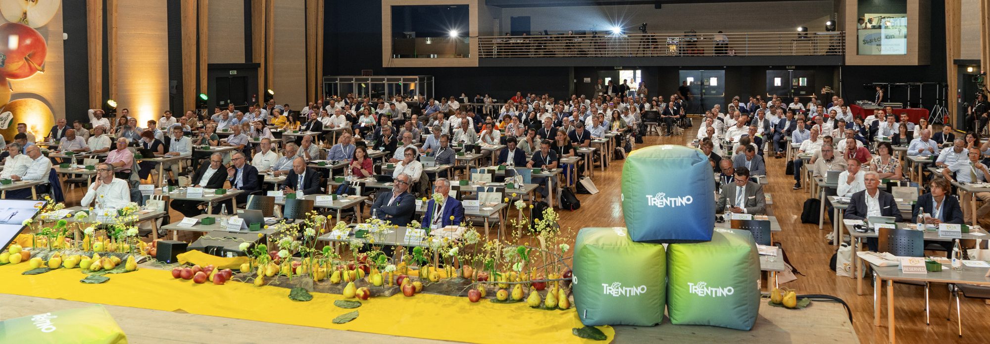 Prognosfruit-2023-Nitida-155